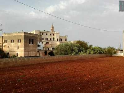 Circondata dai campi dove si coltiva la famosa �carota di Polignano� a San Vito si trova l'abbazia benedettina risalente al VI-VII secolo